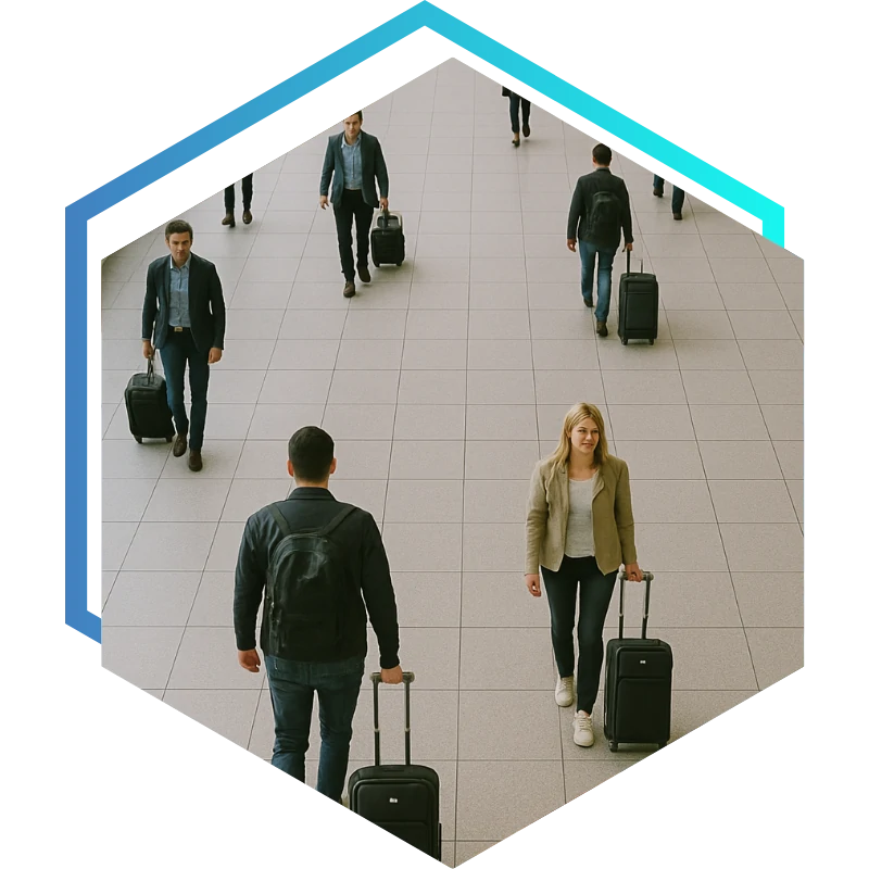 Surveillance des flux